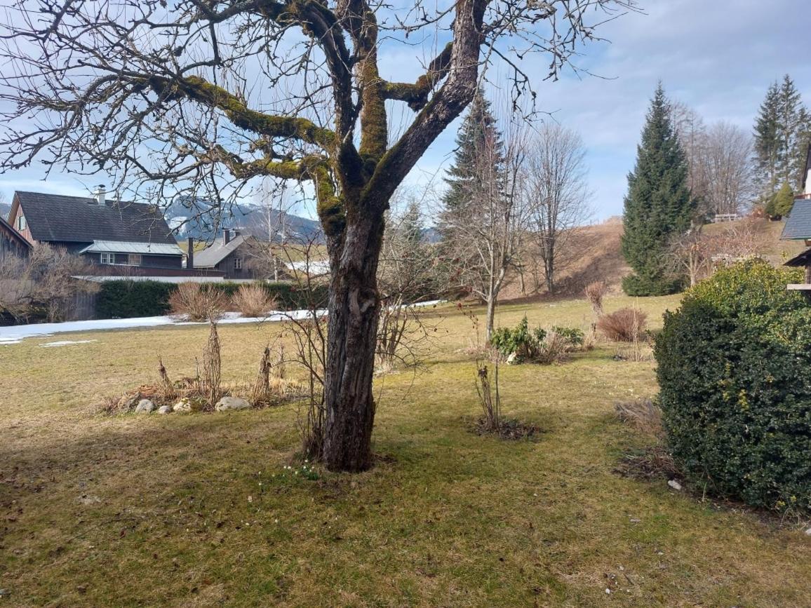 Ferienwohnung Salzafeld Bad Mitterndorf Extérieur photo